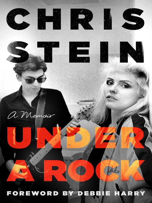 Title details for Under a Rock by Chris Stein - Available